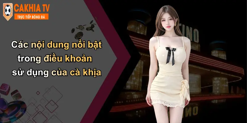 Các nội dung nổi bật trong điều khoản sử dụng của cà khịa