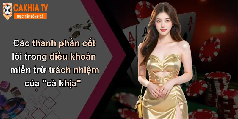 Các thành phần cốt lõi trong điều khoản miễn trừ trách nhiệm của "cà khịa"