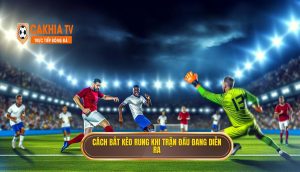 Cách Bắt Kèo Rung Khi Trận đấu đang Diễn Ra